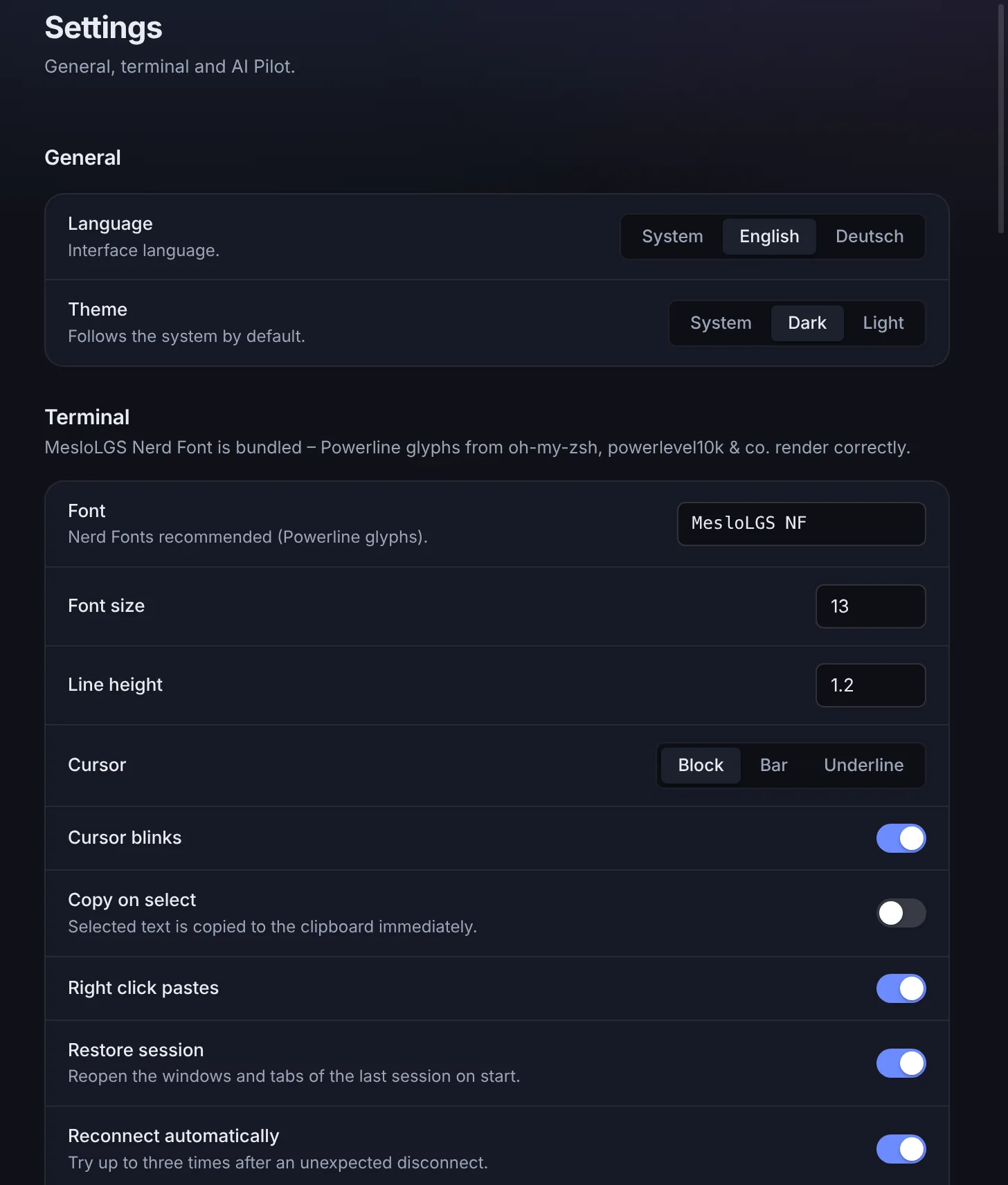Settings with the General section – language and theme – and the first options of the Terminal section