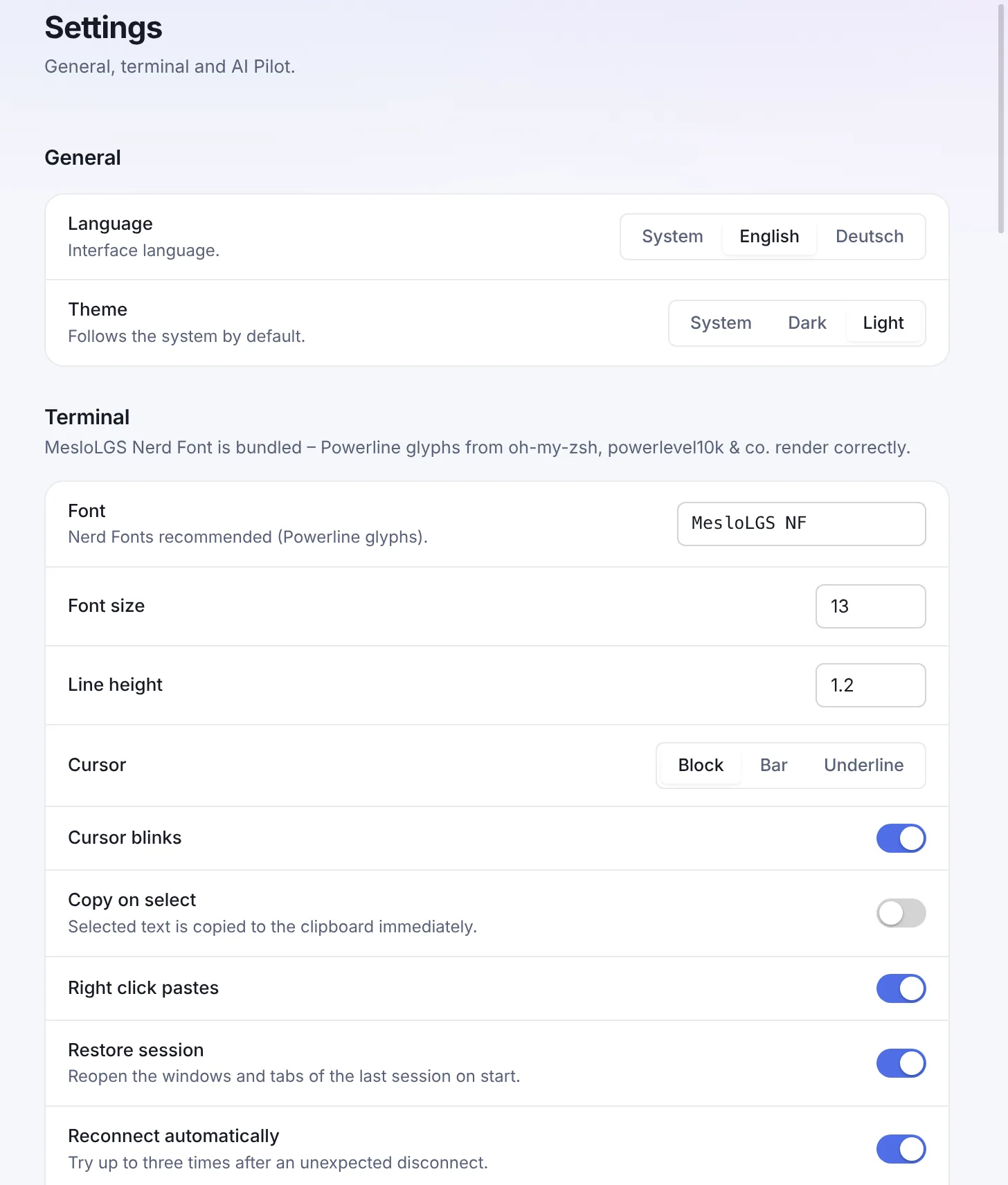 Settings with the General section – language and theme – and the first options of the Terminal section