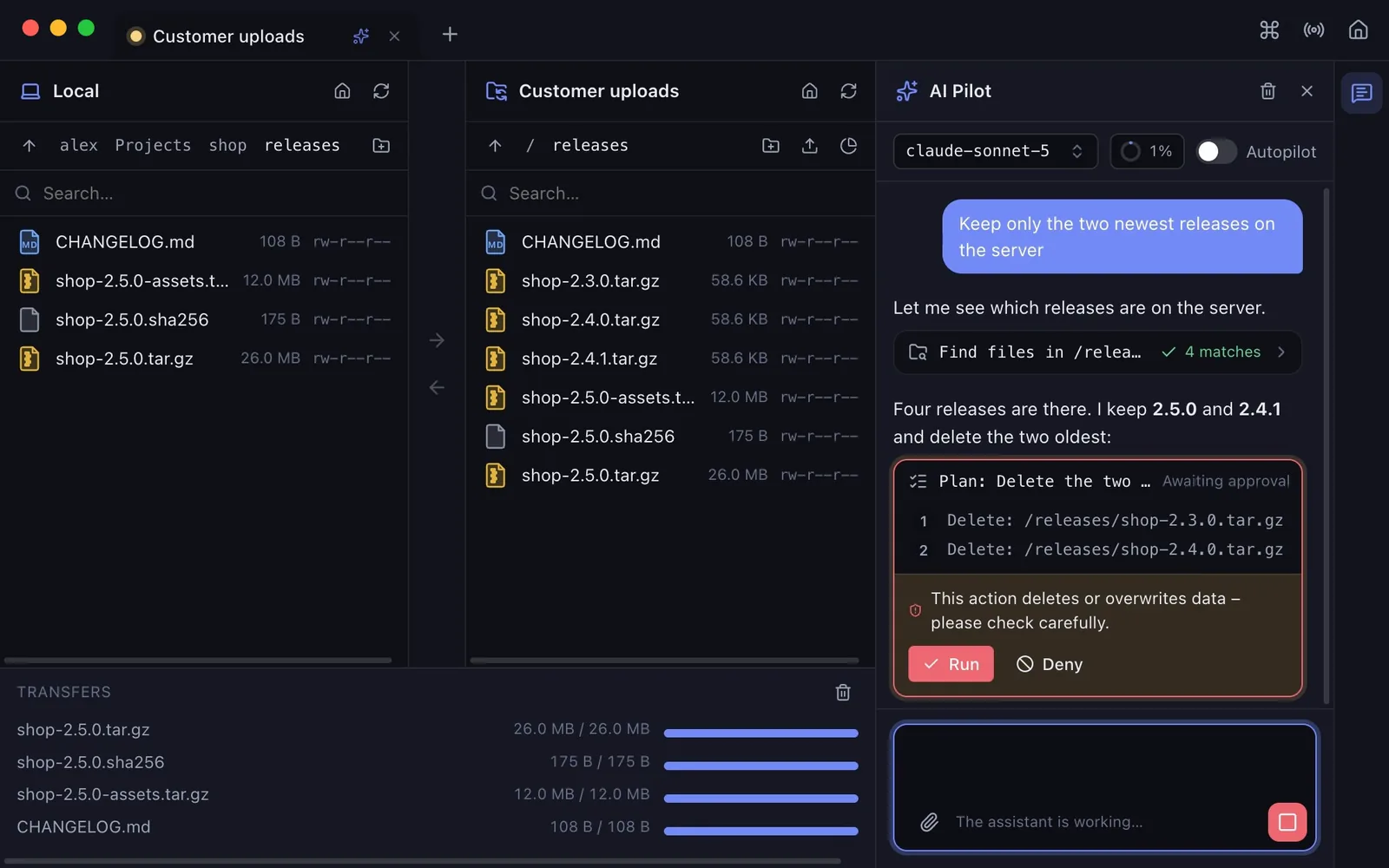 A plan card in the transfer view: two releases to delete, the warning about deleting data and the buttons Run and Deny