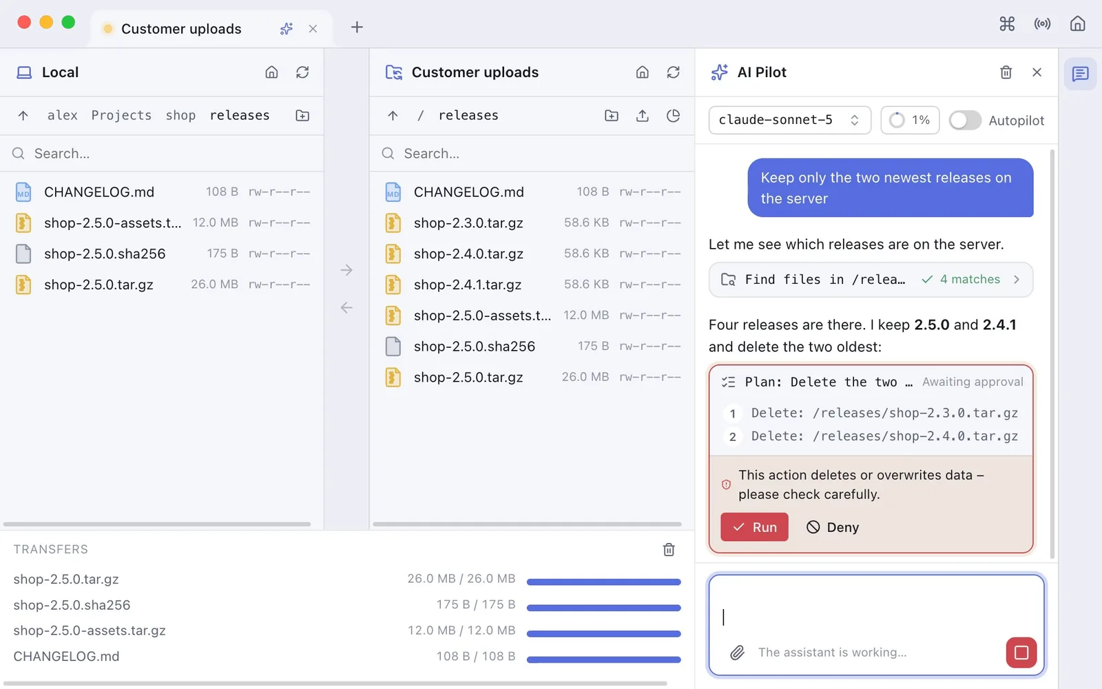 A plan card in the transfer view: two releases to delete, the warning about deleting data and the buttons Run and Deny
